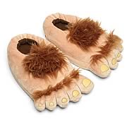 Furry Adventure Slippers